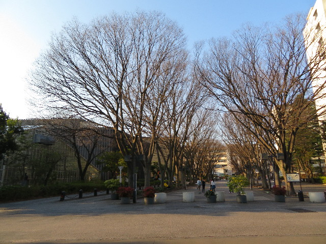 ファイル 6153-2.jpg