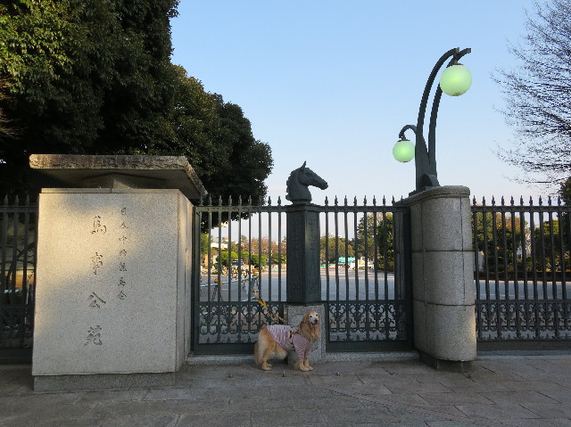 ファイル 6153-3.jpg