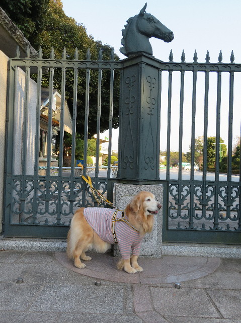 ファイル 6153-4.jpg