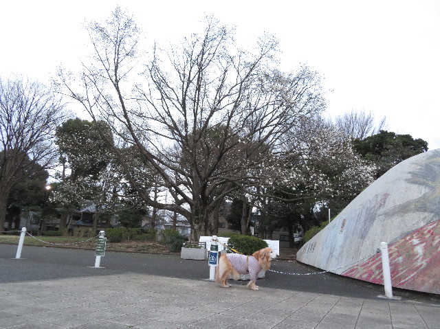 ファイル 6154-1.jpg