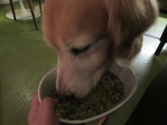 ファイル 6154-5.jpg