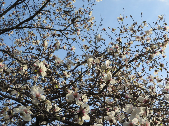 ファイル 6155-3.jpg