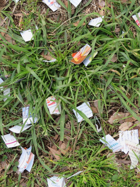 ファイル 6155-5.jpg