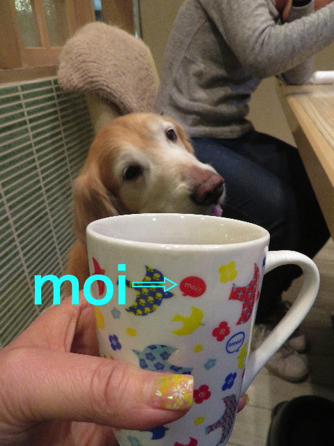 ファイル 6157-5.jpg