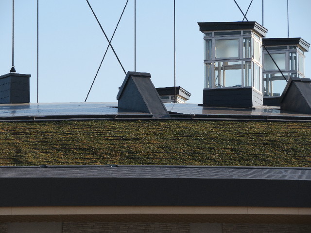 ファイル 6159-2.jpg