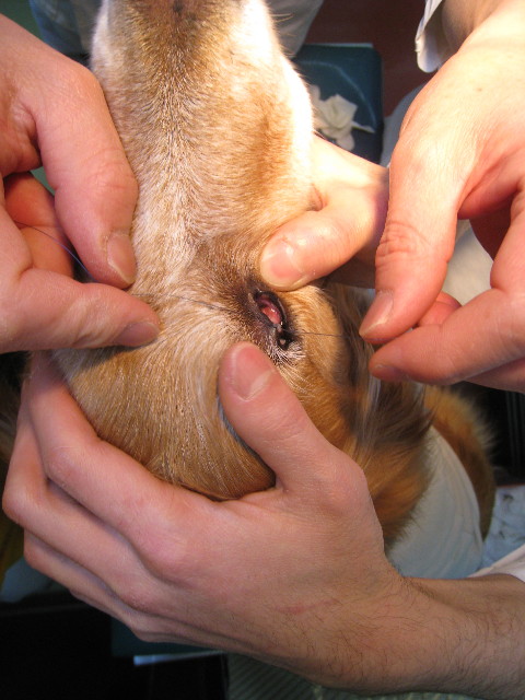 ファイル 616-2.jpg