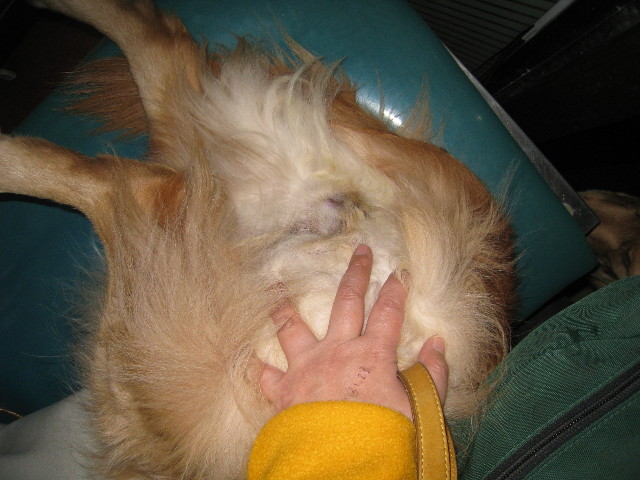 ファイル 616-5.jpg