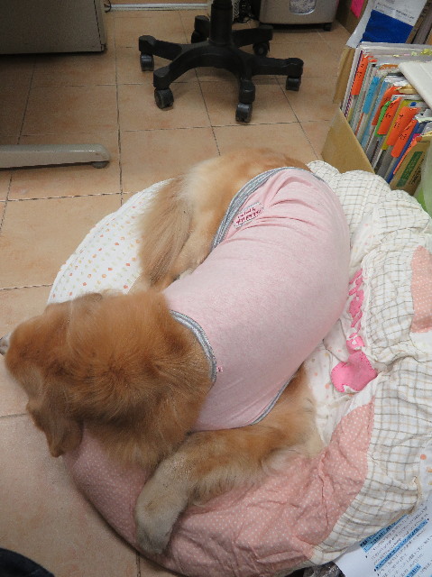 ファイル 6160-4.jpg