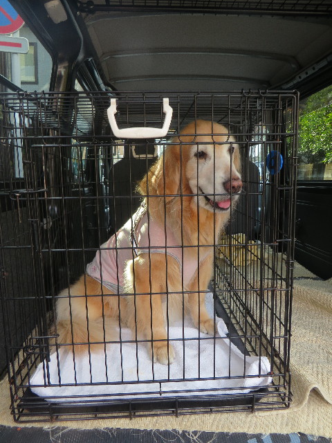 ファイル 6162-1.jpg