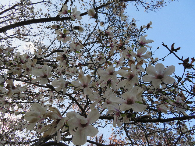 ファイル 6163-5.jpg