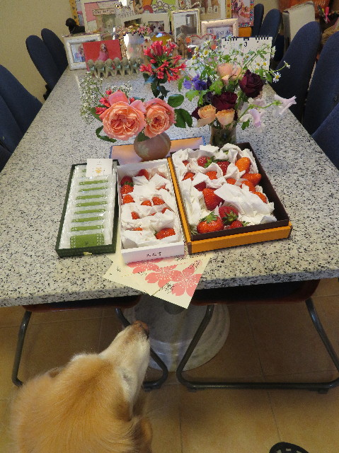 ファイル 6164-4.jpg