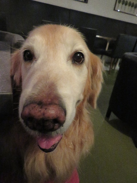 ファイル 6165-3.jpg