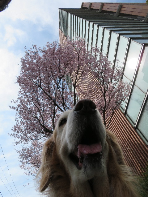 ファイル 6169-3.jpg