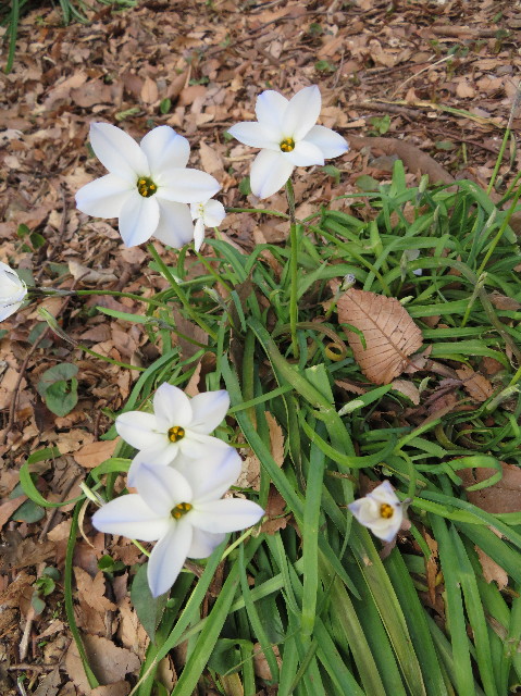 ファイル 6169-5.jpg