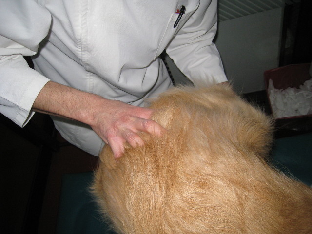 ファイル 617-1.jpg