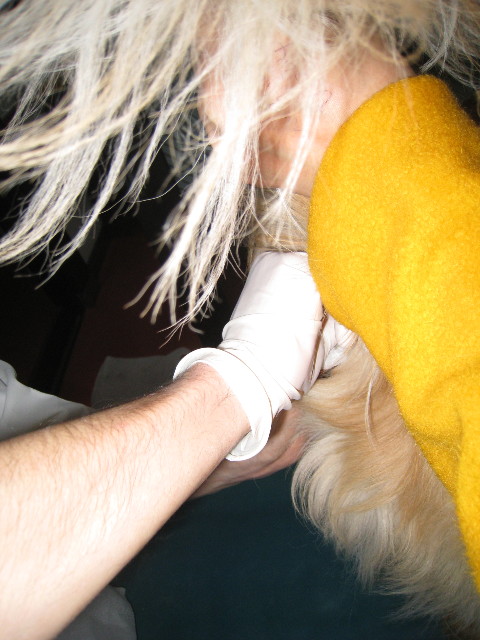 ファイル 617-2.jpg