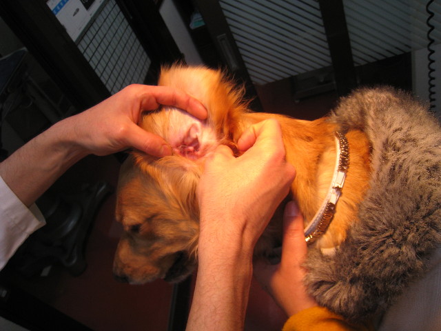 ファイル 617-4.jpg