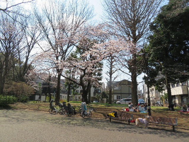 ファイル 6170-1.jpg