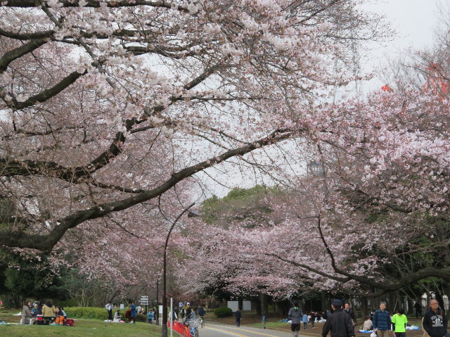 ファイル 6170-5.jpg