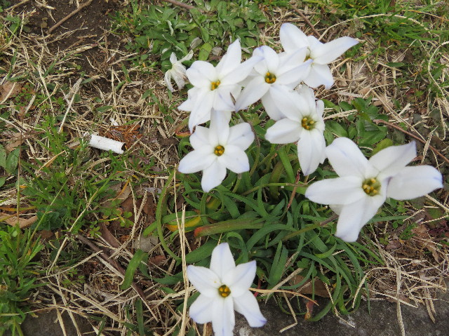 ファイル 6175-2.jpg