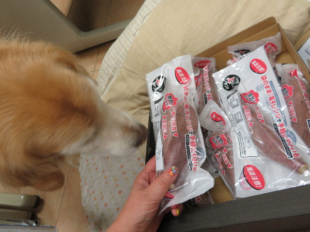 ファイル 6176-3.jpg