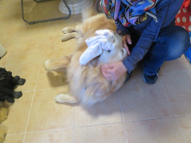 ファイル 6178-5.jpg