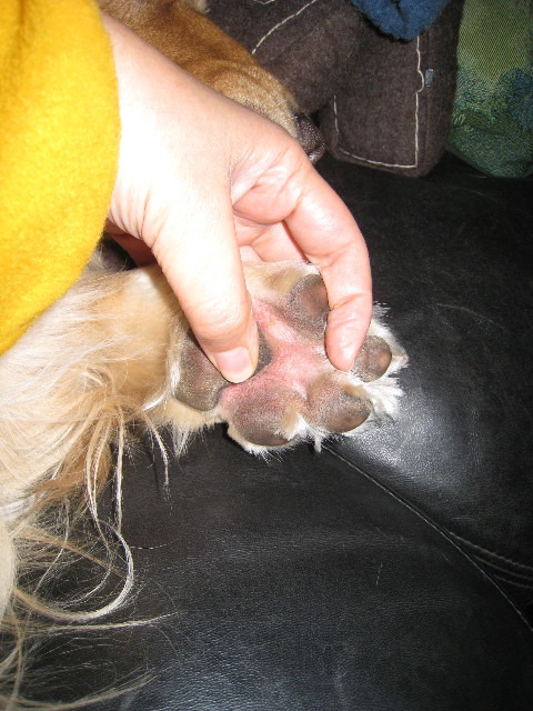 ファイル 618-3.jpg