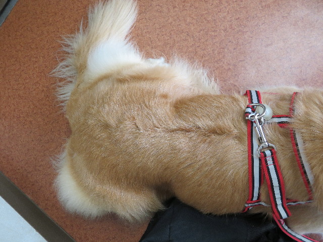 ファイル 6182-2.jpg