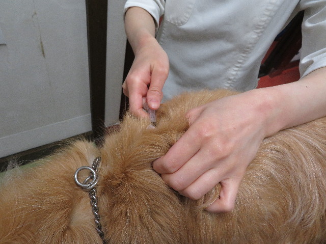 ファイル 6182-3.jpg