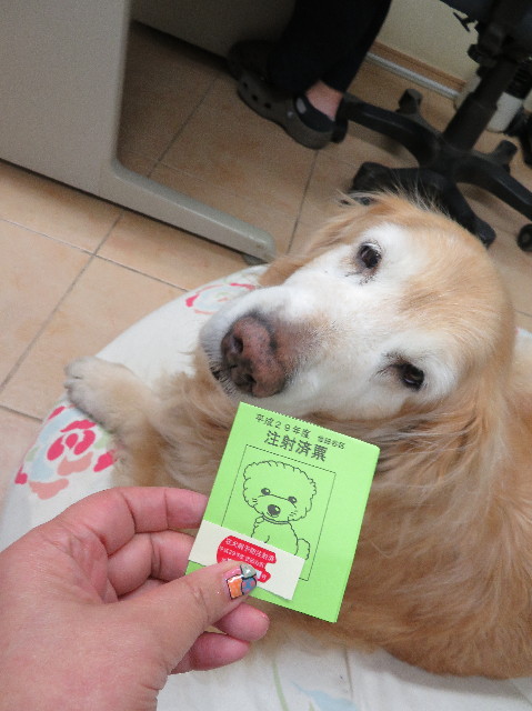 ファイル 6182-5.jpg