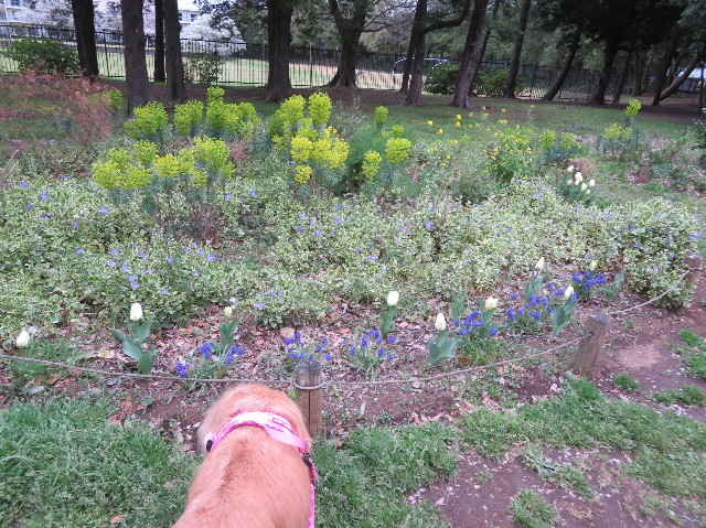 ファイル 6185-4.jpg