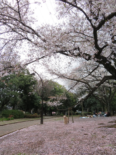 ファイル 6186-4.jpg