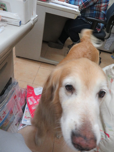 ファイル 6188-1.jpg