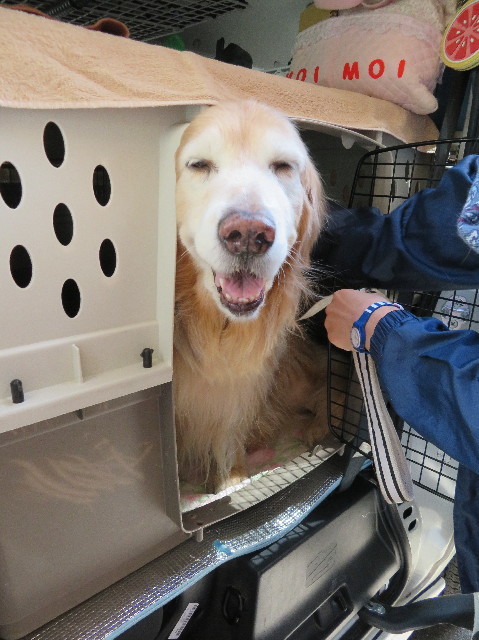 ファイル 6188-3.jpg