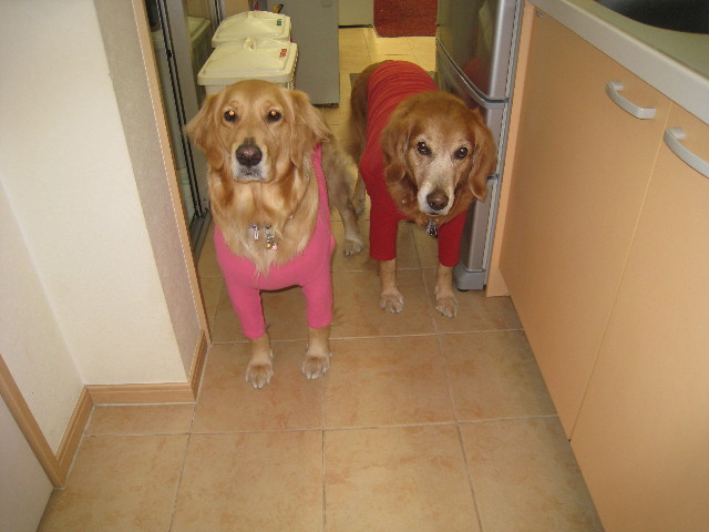 ファイル 619-1.jpg