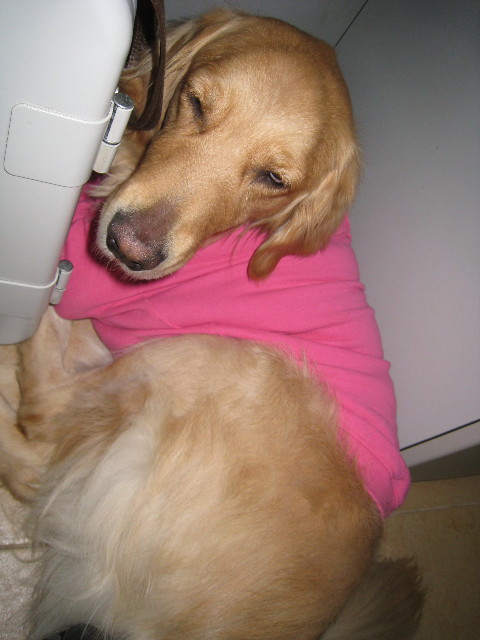 ファイル 619-3.jpg