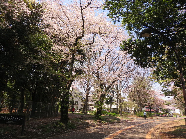 ファイル 6190-2.jpg