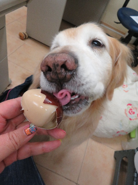 ファイル 6191-4.jpg