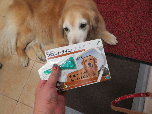 ファイル 6193-4.jpg