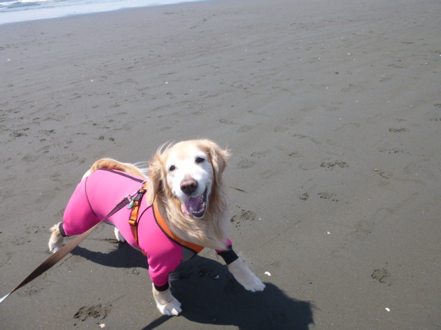 ファイル 6194-1.jpg