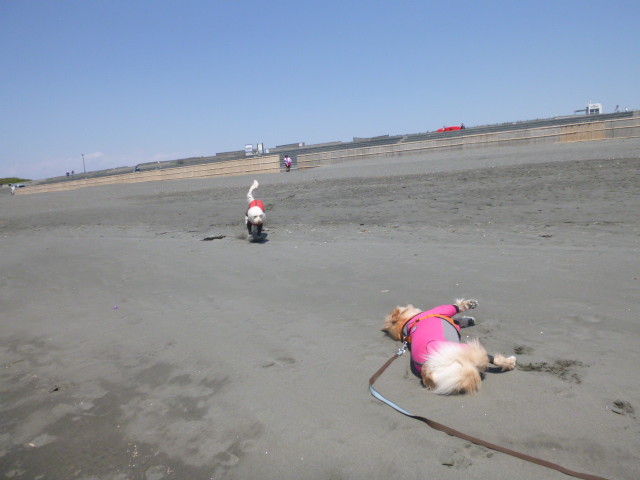 ファイル 6194-2.jpg