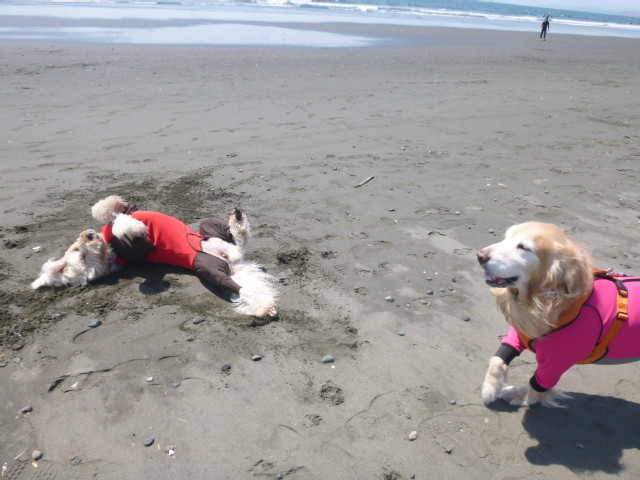 ファイル 6194-3.jpg