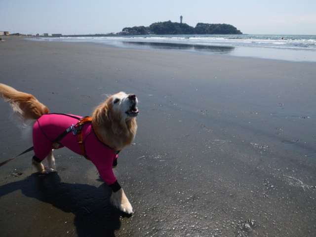 ファイル 6194-5.jpg