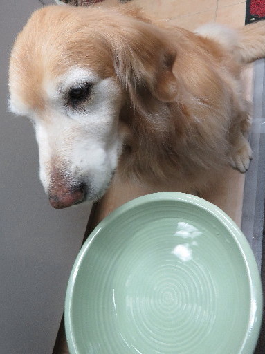 ファイル 6195-3.jpg