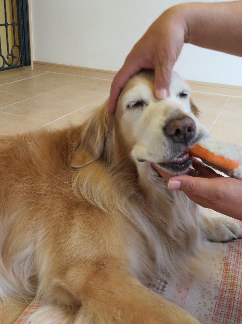 ファイル 6195-5.jpg