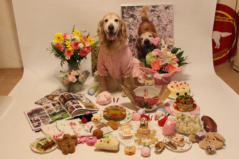 ファイル 6196-1.jpg