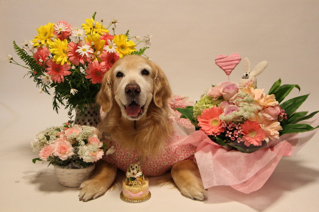 ファイル 6196-4.jpg