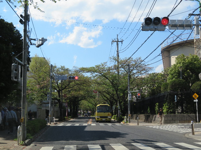 ファイル 6199-1.jpg