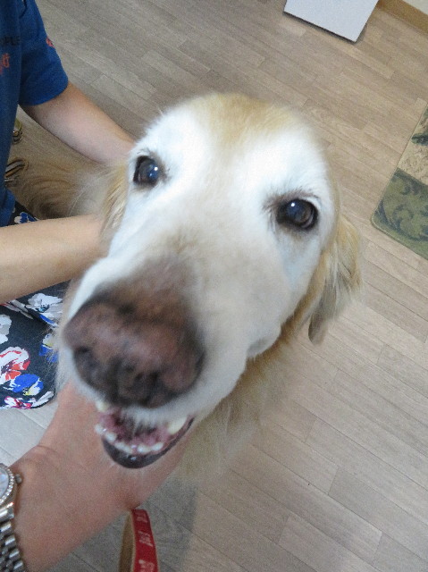 ファイル 6199-5.jpg