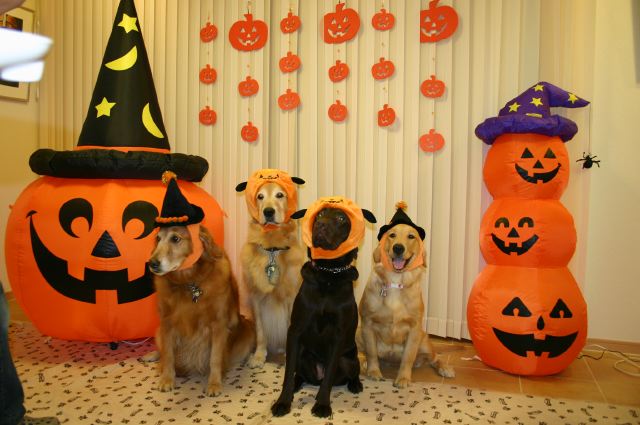 ファイル 62-1.jpg